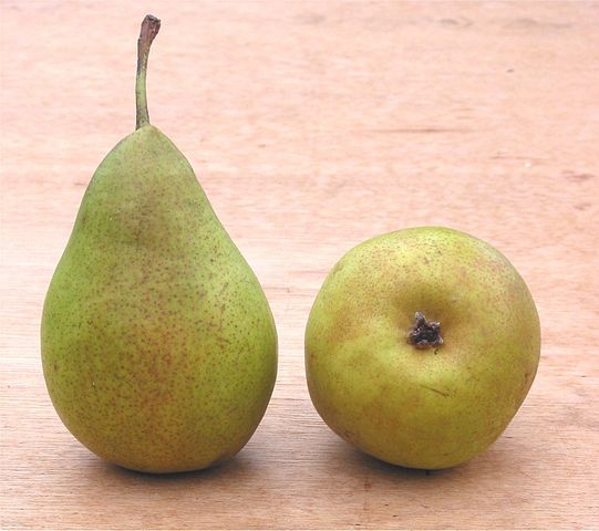 European pear fruit
