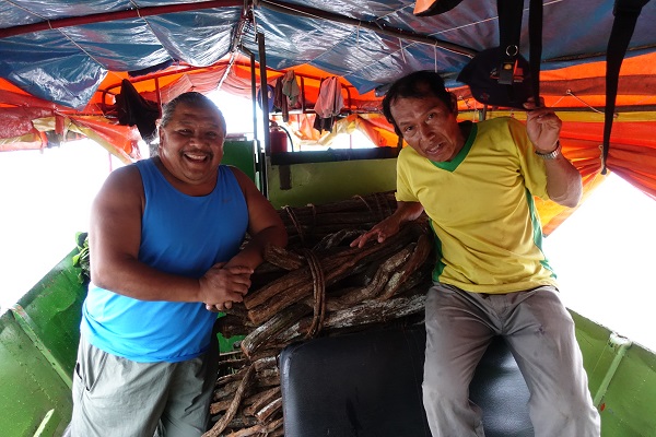 Two men stand inside a boat next to bundles of a large, woody vine
