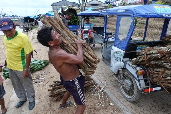 A shirtless man carries a bundle of woody vines to a small motorized vehicle