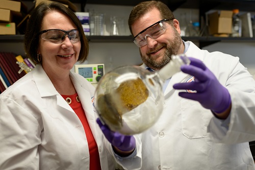 Bonnie Avery and Christopher McCurdy inspect a sample of kratom in a lab