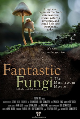 movie poster for Fantastic Fungi