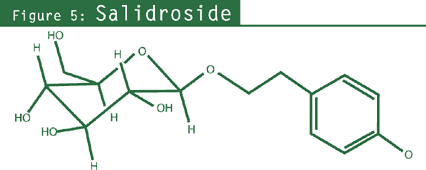 Figure 5: Salidroside